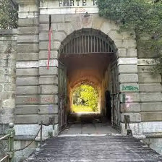 Image related to Discover Forte Tron