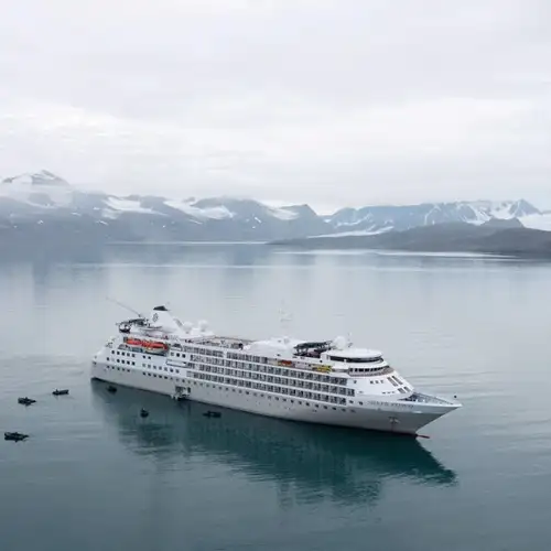 Image related to Silver Cloud