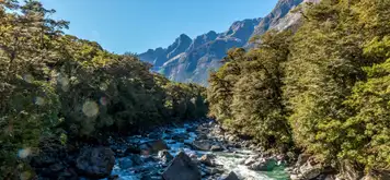 Fjordland National Park (Scenic Cruising)