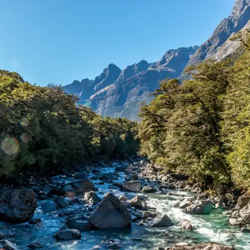 Image related to Fjordland National Park (Scenic Cruising)
