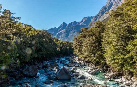 Image related to Fjordland (Scenic Cruising)