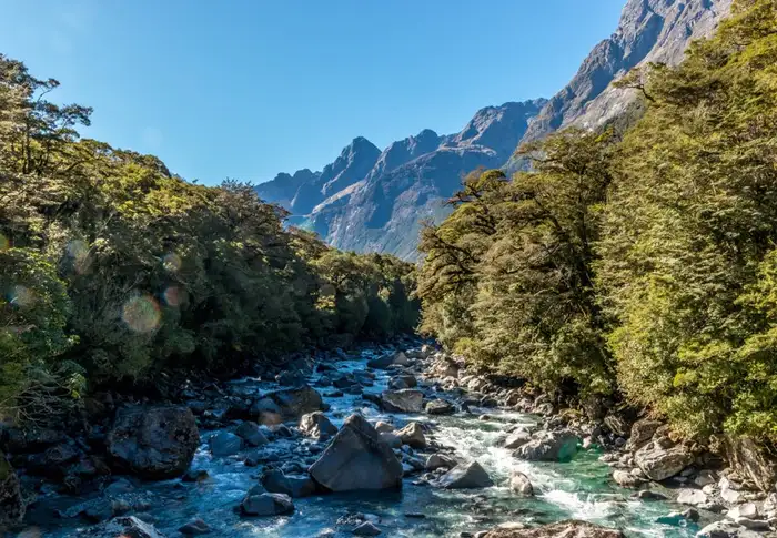 Photo of Day 17: Fjordland National Park (Scenic Cruising)