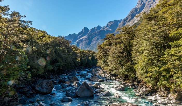 Fjordland National Park - scenic cruising