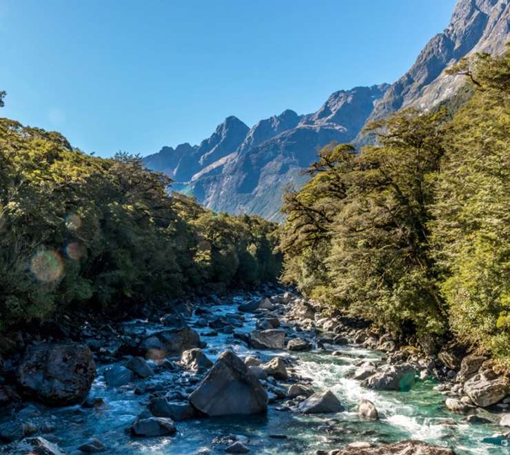 Fjordland National Park (Scenic Cruising)