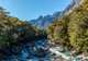 Fjordland National Park (Scenic Cruising)