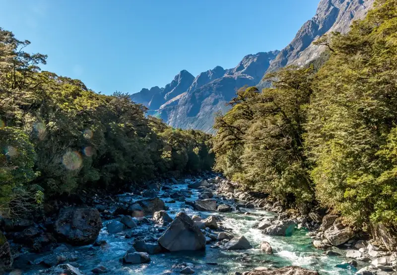 Fjordland National Park (Scenic Cruising)