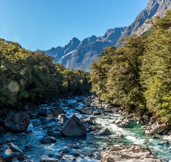 Image related to Fjordland (Scenic Cruising)