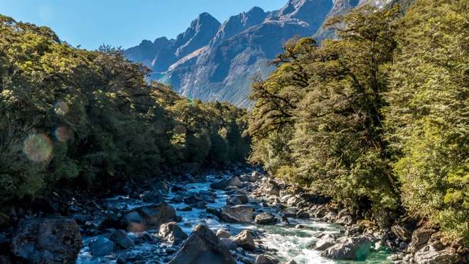 Get Lost in the Beauty of Fjordland