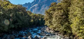 Image related to Fjordland National Park (Scenic Cruising)