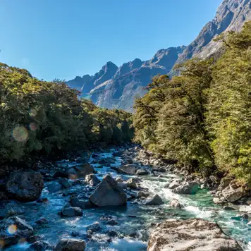 Image related to Fjordland National Park (Scenic Cruising)