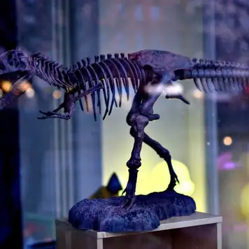 Image related to Image related to Zoological Museum