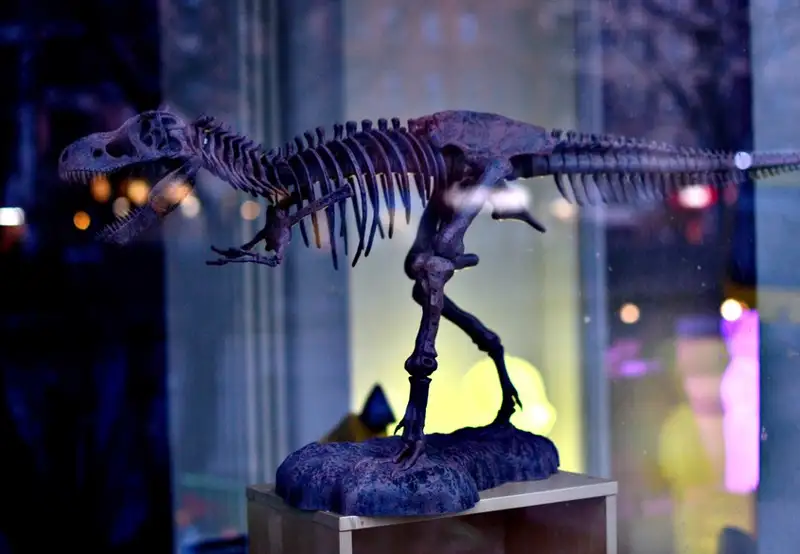 Zoological Museum