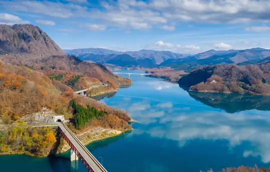 Image related to Akita