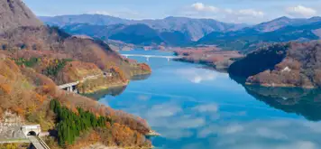 Image related to Akita