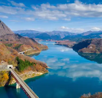 Image related to Akita