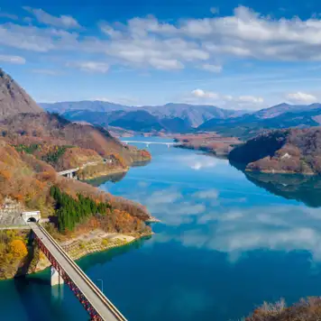 Image related to Akita