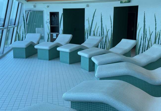 CELEBRITY SILHOUETTE