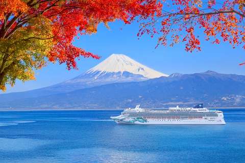 Image related to Norwegian Jade
