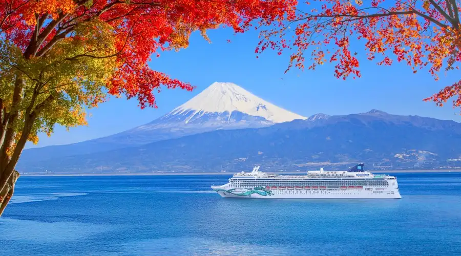 Image related to Norwegian Jade
