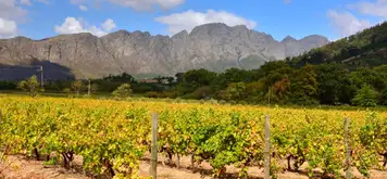 Image related to Cape Town - Winelands Tour