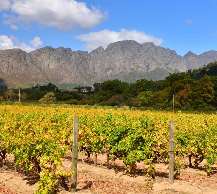 Cape Town - Winelands Tour