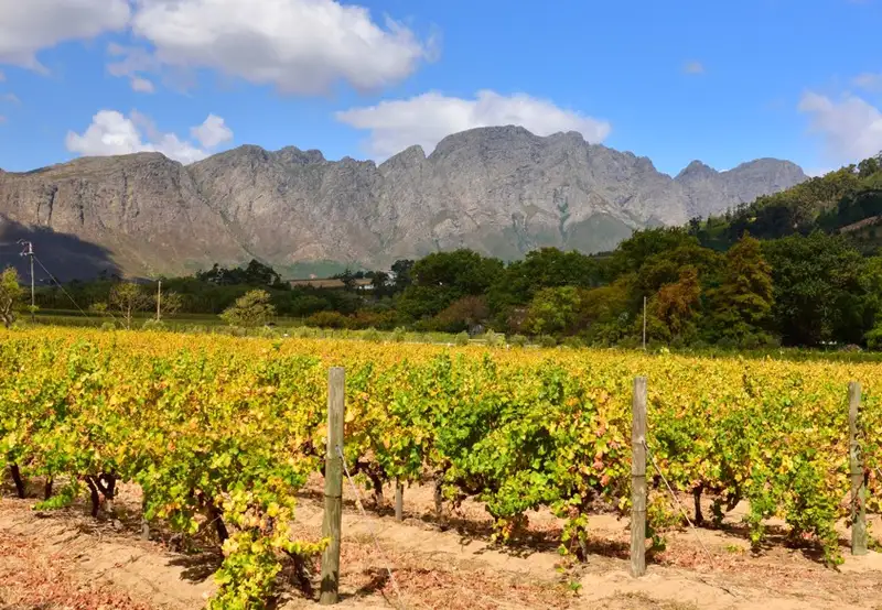Cape Town - Winelands Tour
