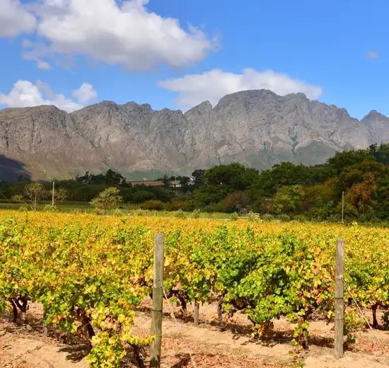 Image related to Cape Town - Winelands Tour