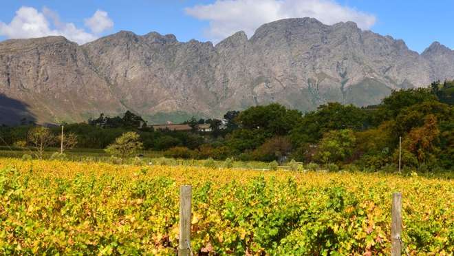 Savour the Flavours of Cape Winelands