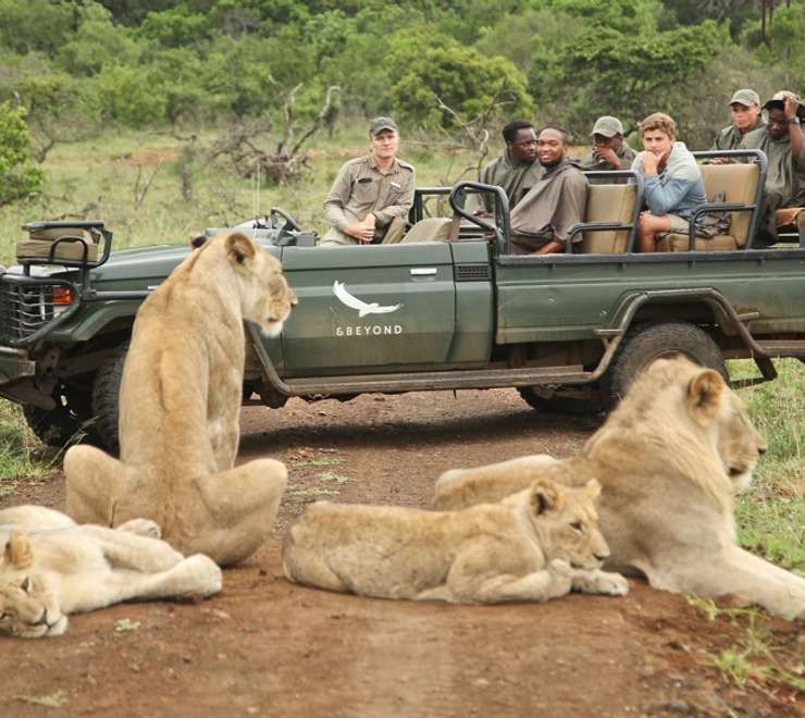 Phinda Private Game Reserve- Game Drives