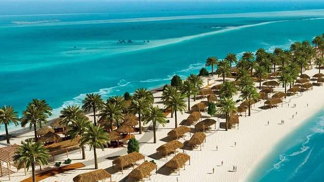 Venture Into the Wild Beauty of Sir Bani Yas