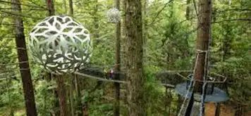 Image related to Redwoods Treewalk