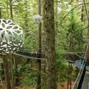 Image related to Redwoods Treewalk
