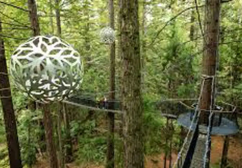 Redwoods Treewalk