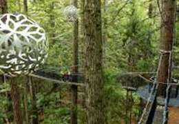 IgluCruise.Application.ViewModels.Shared.WebImageViewModel?.Description