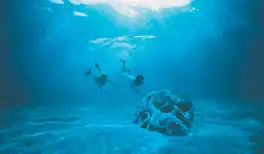 Image related to Sunken Tiki Garden