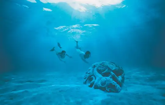 Image related to Sunken Tiki Garden