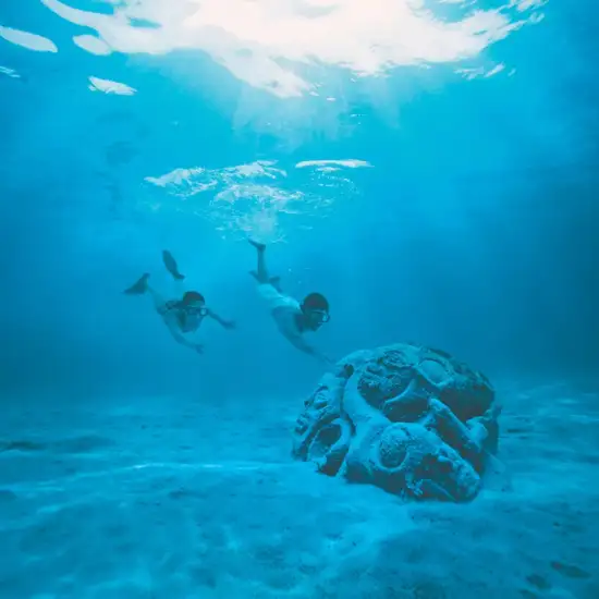 Image related to Sunken Tiki Garden