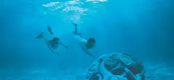 Image related to Sunken Tiki Garden