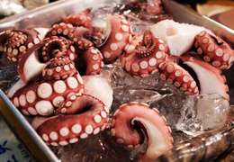 IgluCruise.Application.ViewModels.Shared.WebImageViewModel?.Description