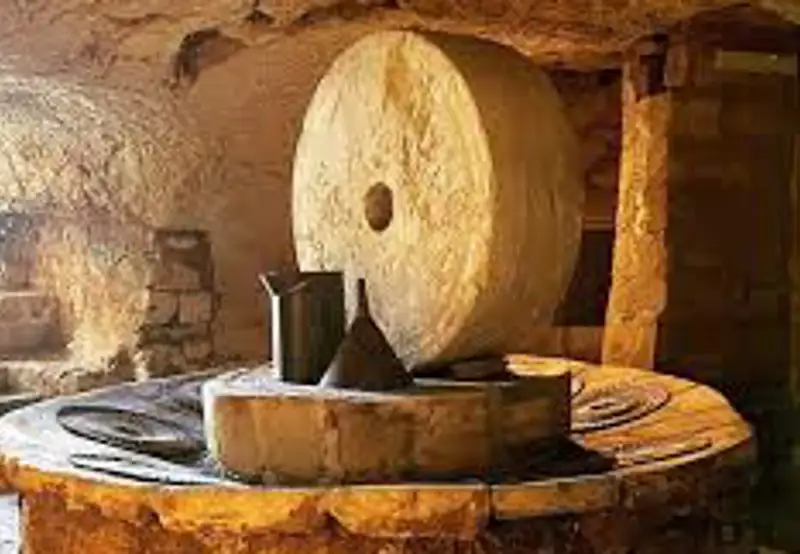 Visit the Underground Olive Mills