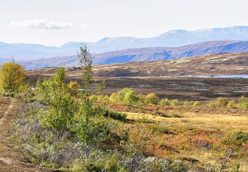 Forollhogna National Park