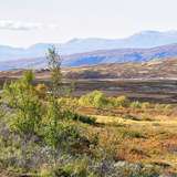 Image related to Forollhogna National Park