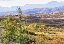 IgluCruise.Application.ViewModels.Shared.WebImageViewModel?.Description