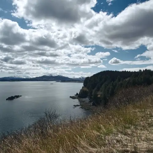 Image related to Kodiak