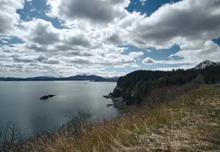 Photo of Day 8: Kodiak