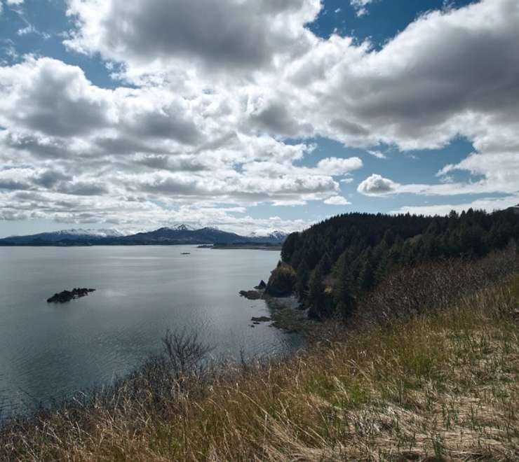 Kodiak