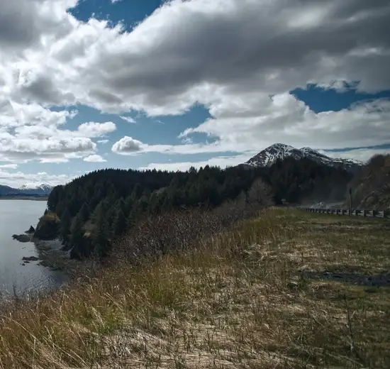 Image related to Kodiak