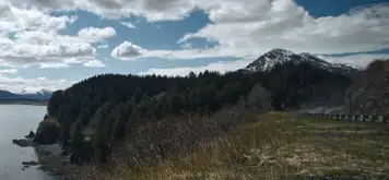 Image related to Kodiak