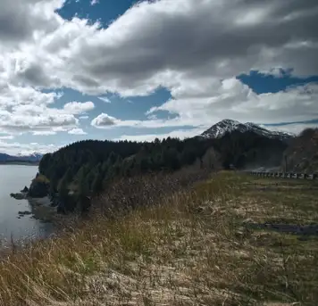 Image related to Kodiak