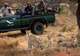 Phinda Private Game Reserve- Game Drives